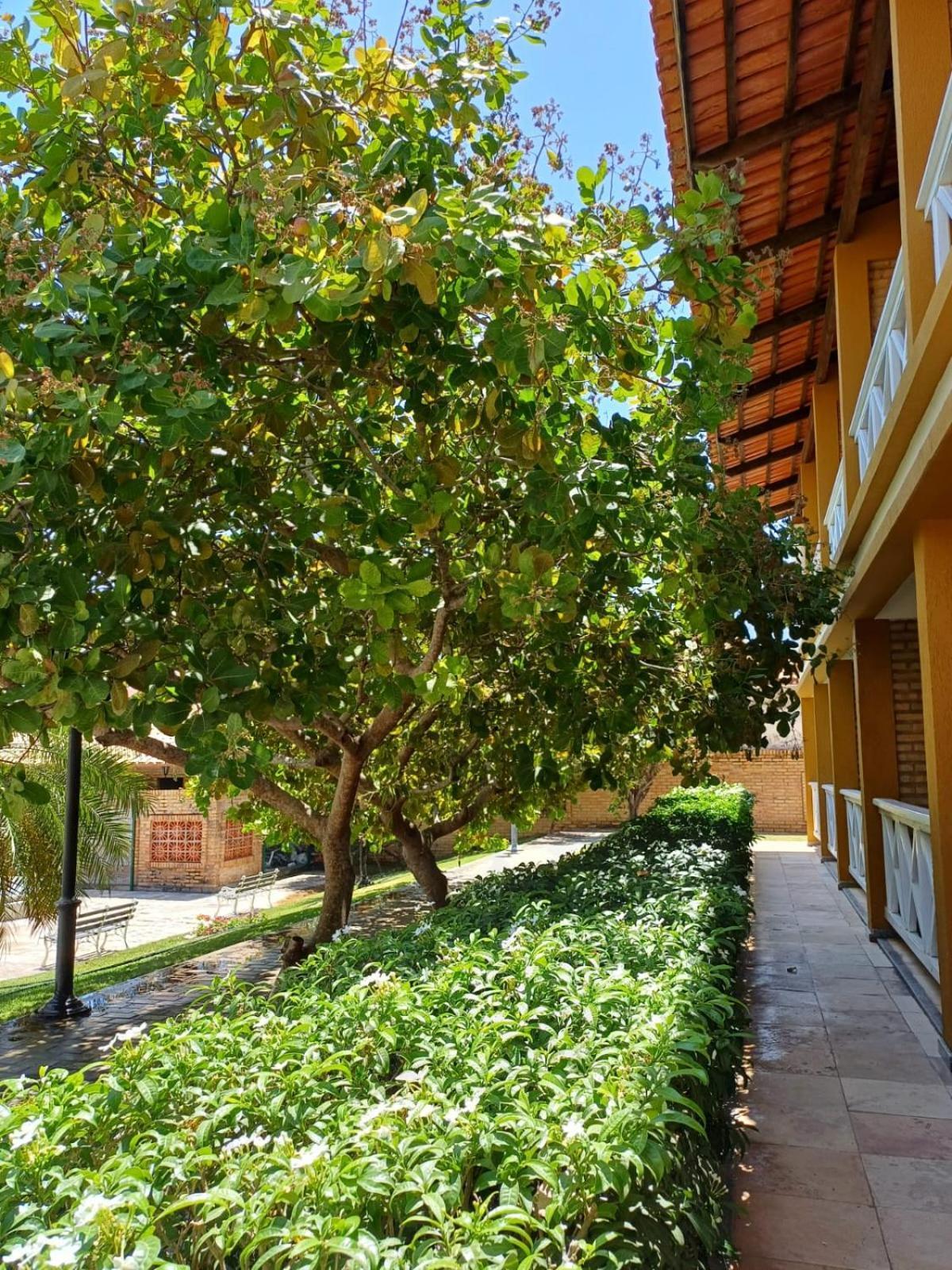 Porto Belo 4*